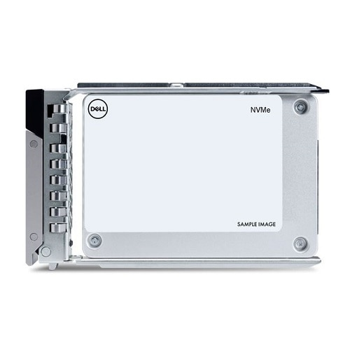 DELL SERVER E NETWORKING 960GB DATA CENTER NVME READ INTENS.