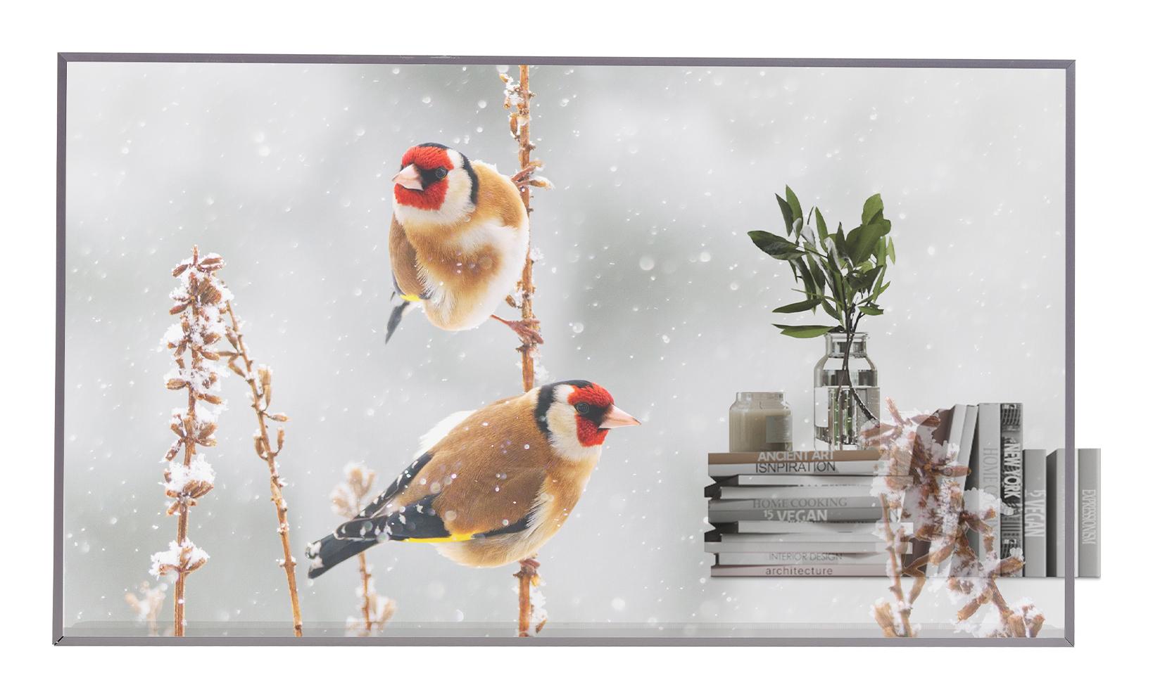 LG MONITOR LFD 55EW5P-M