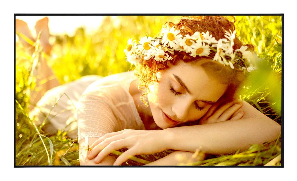 LG MONITOR LFD 55UL5Q-E