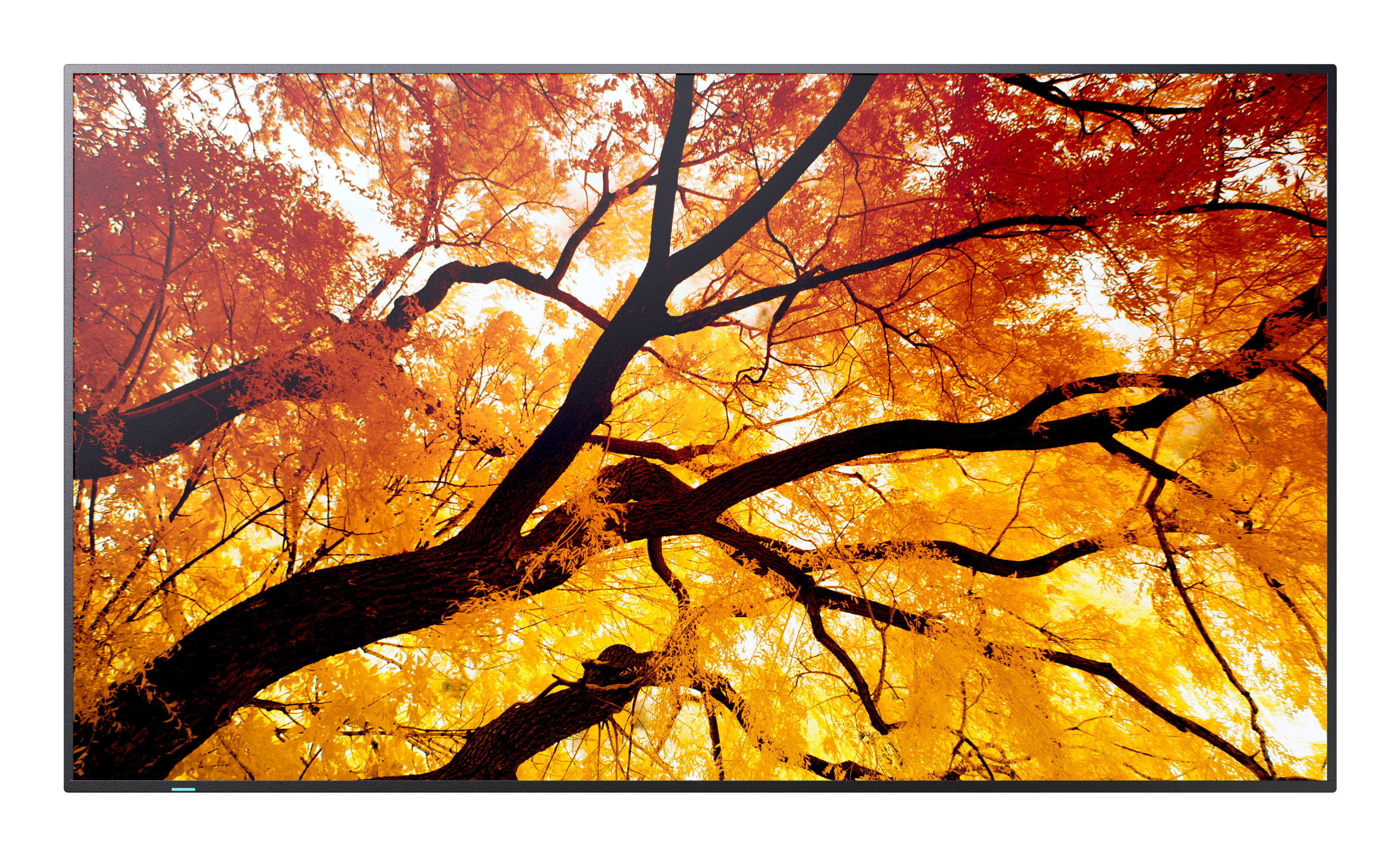 SHARP/NEC MULTISYNC M982