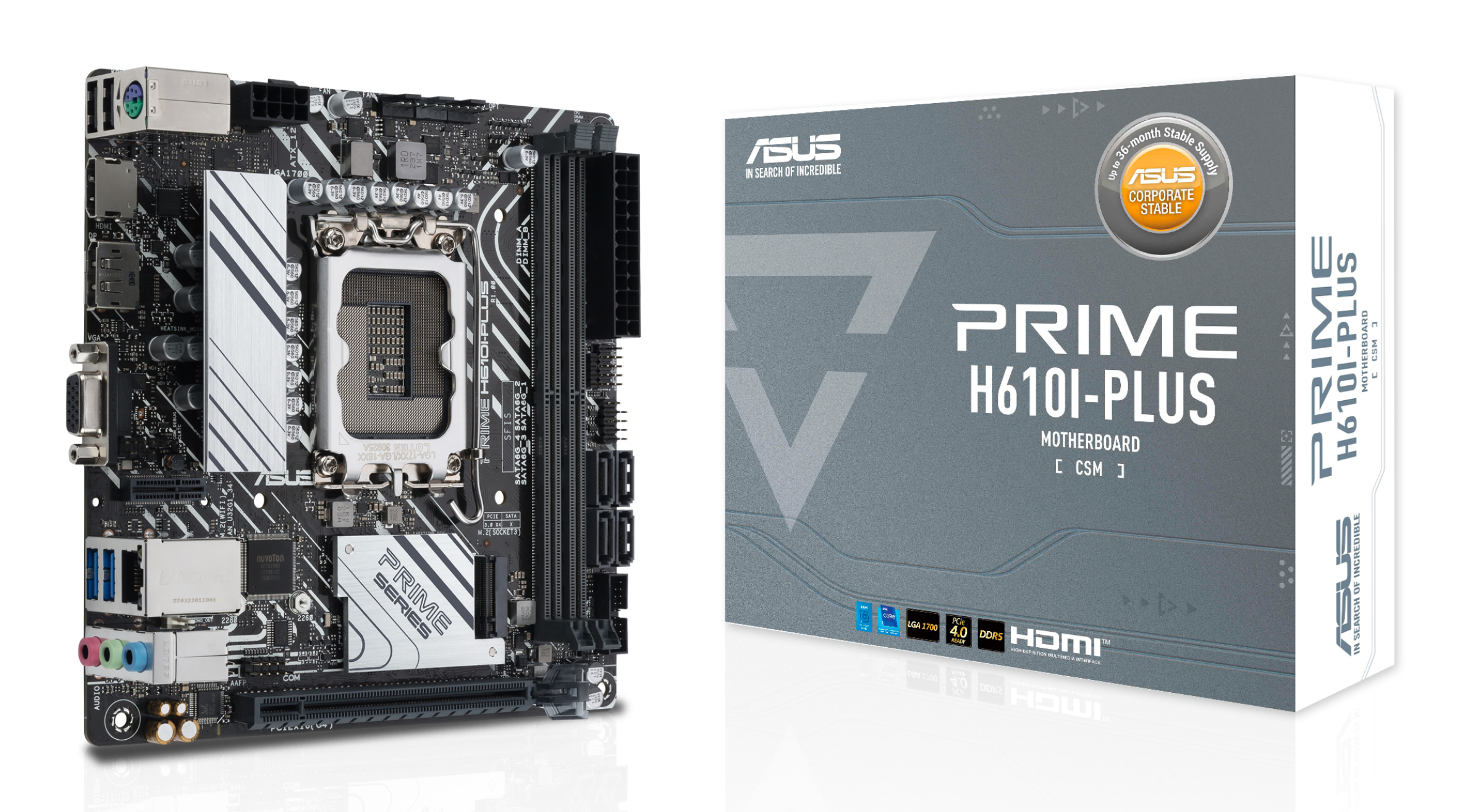 ASUS COMPONENTS PRIME H610I-PLUS-CSM