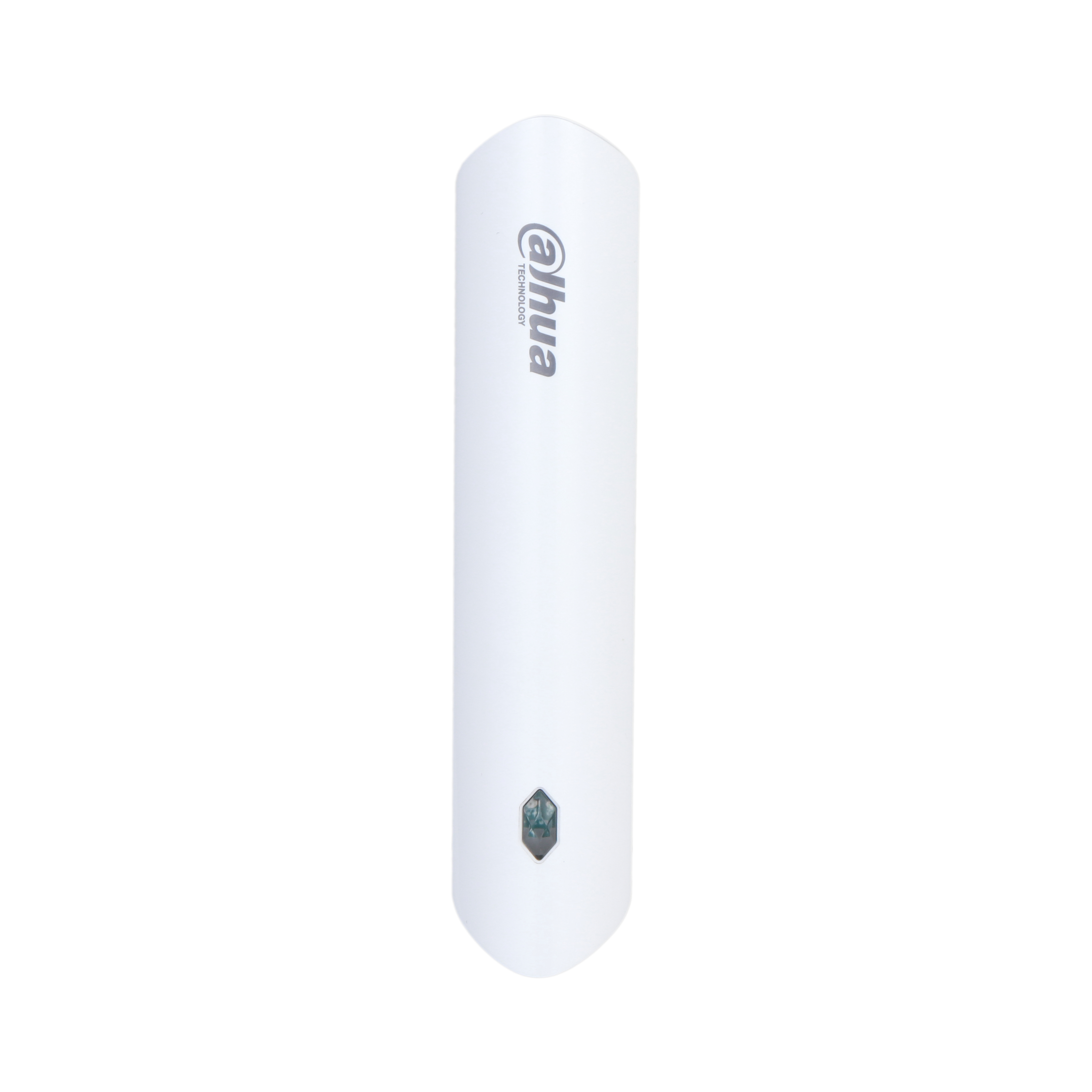 DAHUA ARM310-W2-868