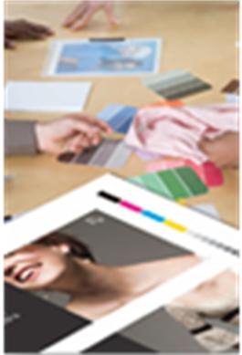 EPSON GRAFICO C13S042002