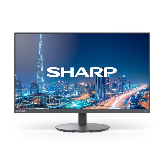 SHARP/NEC E224F
