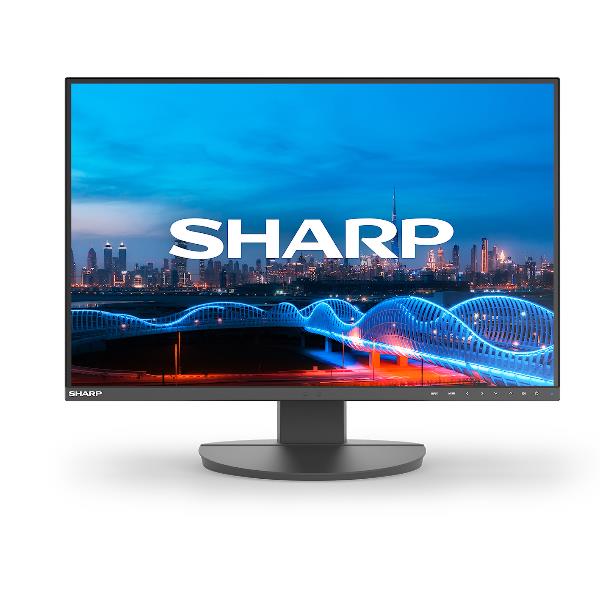 SHARP/NEC EA241W