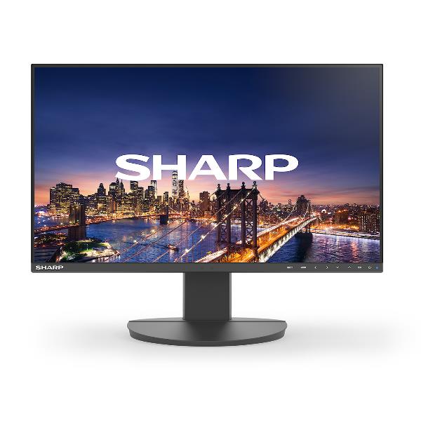 SHARP/NEC EA242F