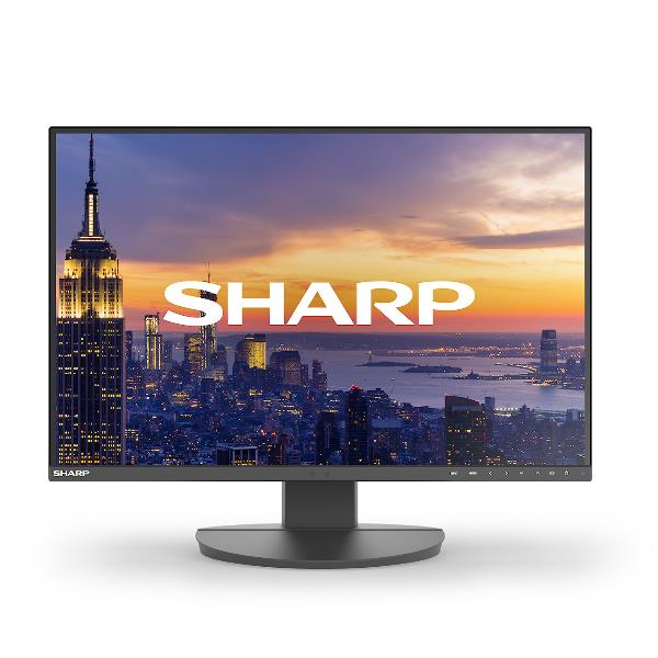 SHARP/NEC EA242W