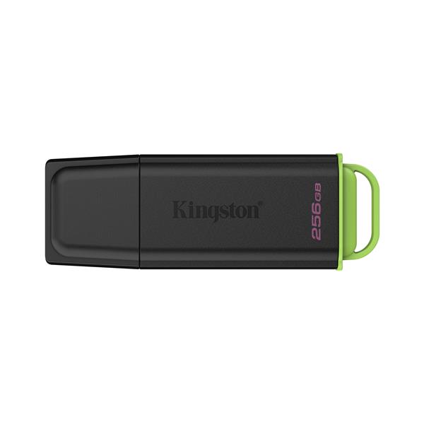 KINGSTON TECHNOLOGY DataTraveler 256GB