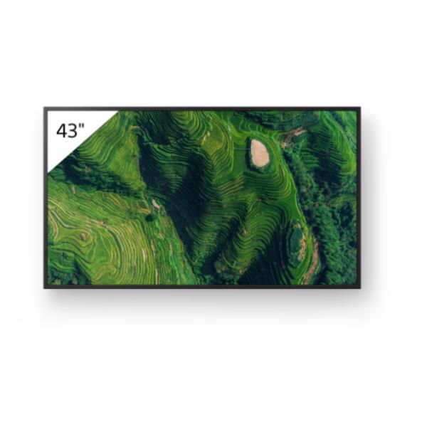Display professionale 4K HDR da 43" 1