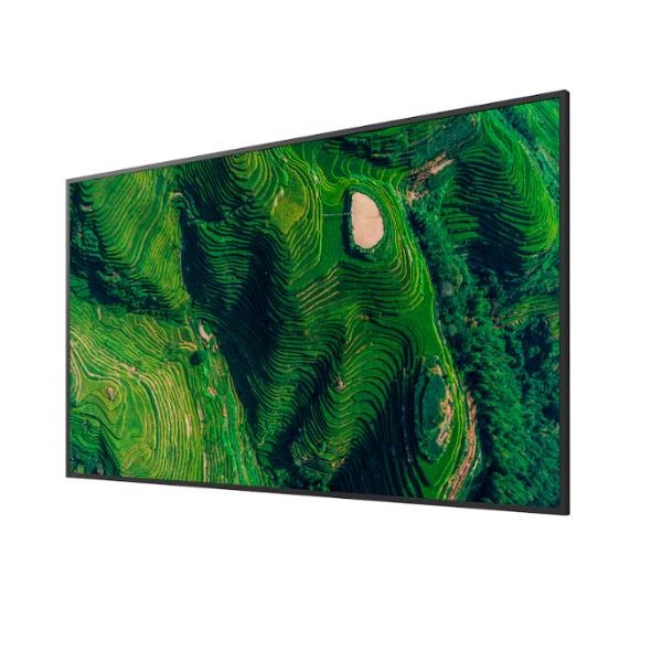 Display professionale 4K HDR da 43" 3