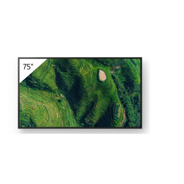 SONY PROFESSIONALE Display professionale 4K HDR da 55”