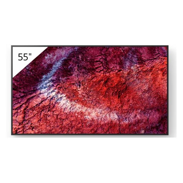 Display professionale 4K HDR da 55" 1