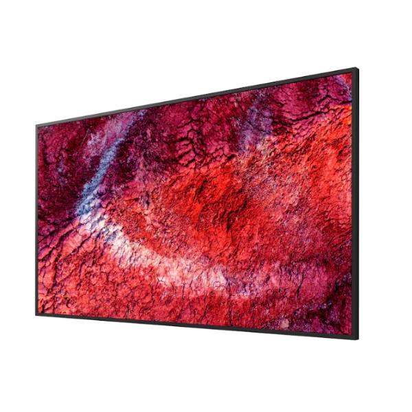 Display professionale 4K HDR da 55" 5