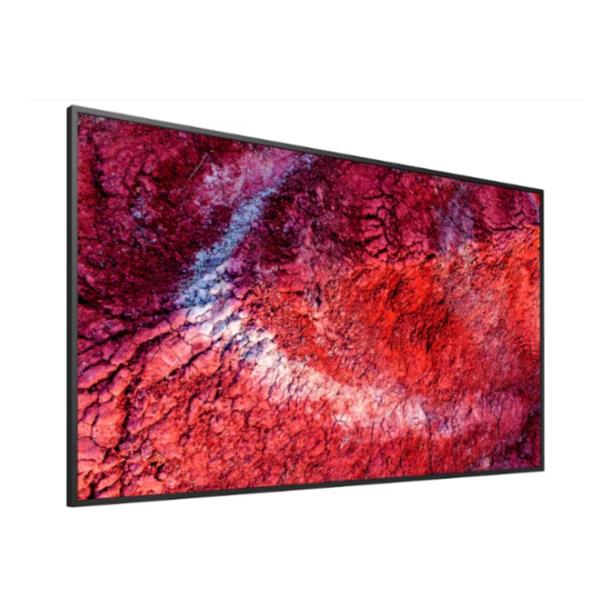 Display professionale 4K HDR da 55" 6