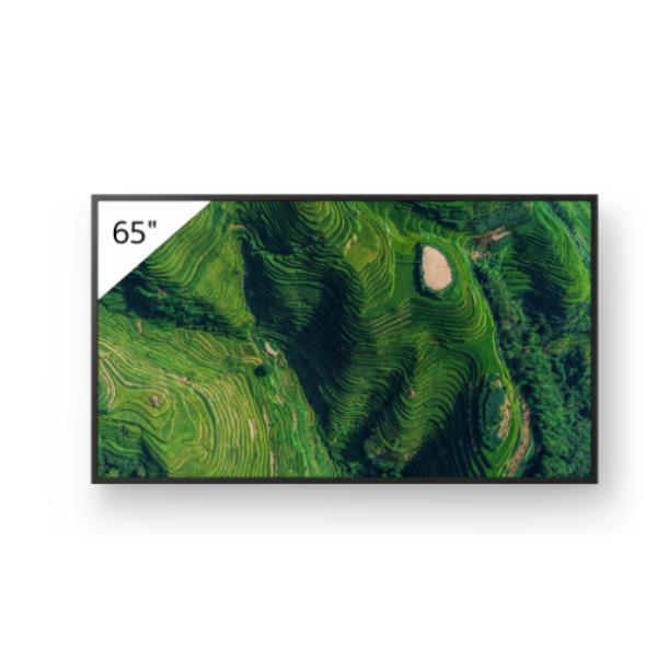 SONY PROFESSIONALE Display professionale 4K HDR da 65"