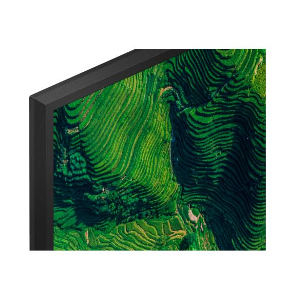 Display professionale 4K HDR da 65" 5