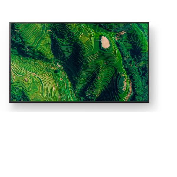 Display professionale 4K HDR da 65" 6