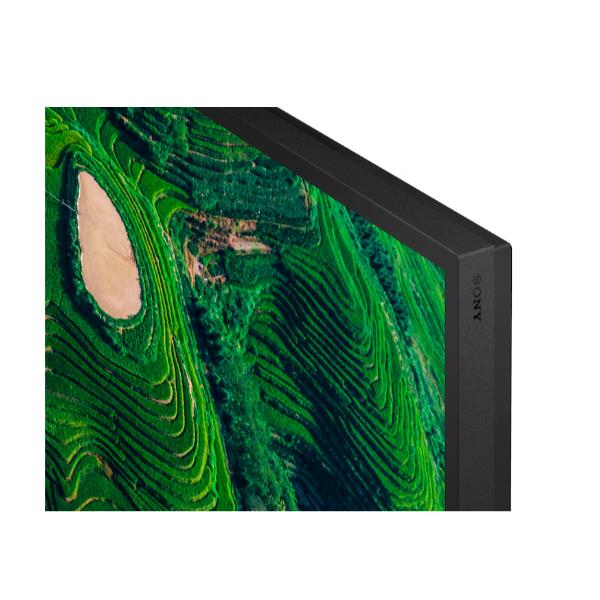 Display professionale 4K HDR da 65" 8
