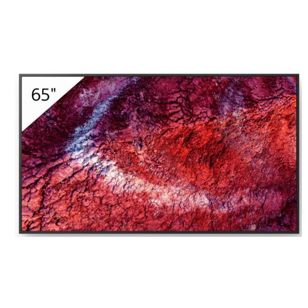 Display professionale 4K HDR da 65" 1
