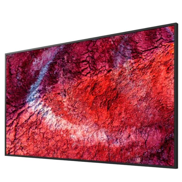 Display professionale 4K HDR da 65" 2