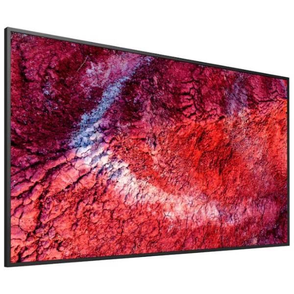 Display professionale 4K HDR da 65" 9