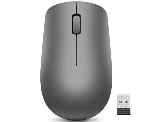 LENOVO CONSUMER Lenovo 530 Wireless Mouse (Graphite)