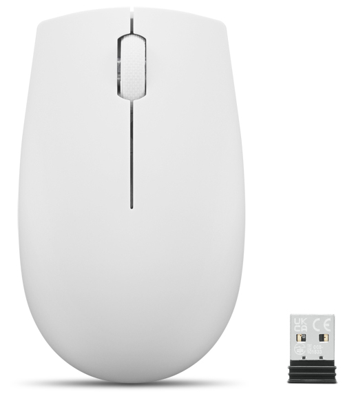LENOVO CONSUMER Lenovo 300 Wireless Compact Mouse (Cloud Grey) con batteria