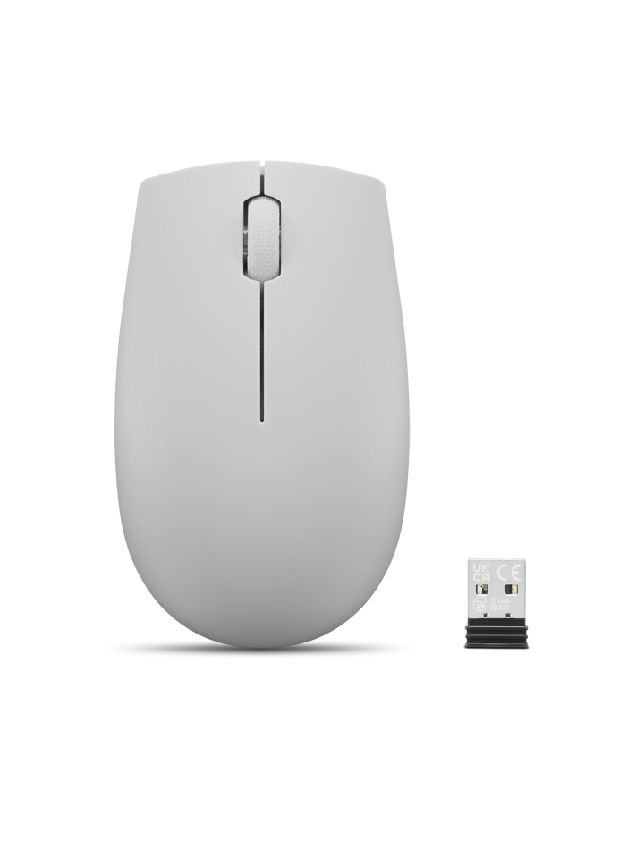LENOVO CONSUMER Lenovo 300 Wireless Compact Mouse (Arctic Grey) con batteria