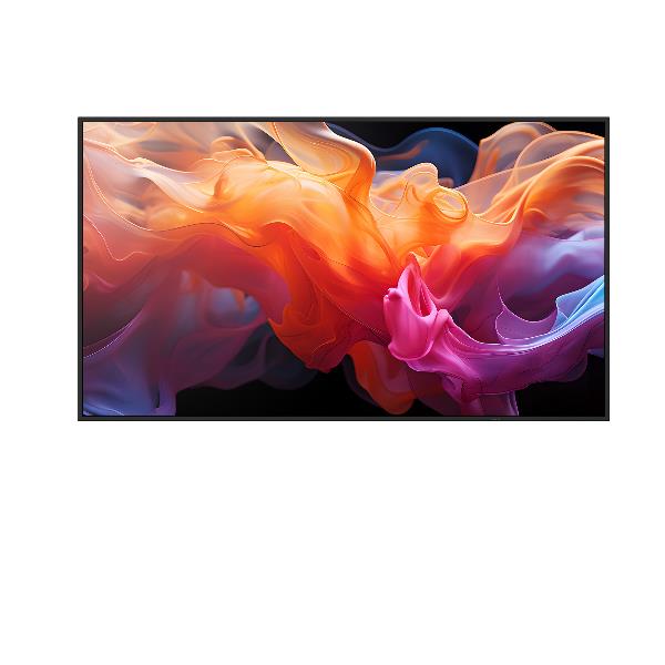 SHARP/NEC E509