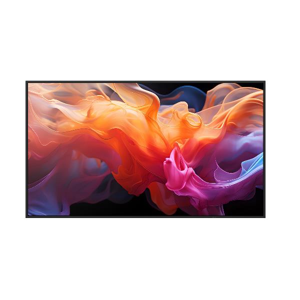 SHARP/NEC E559