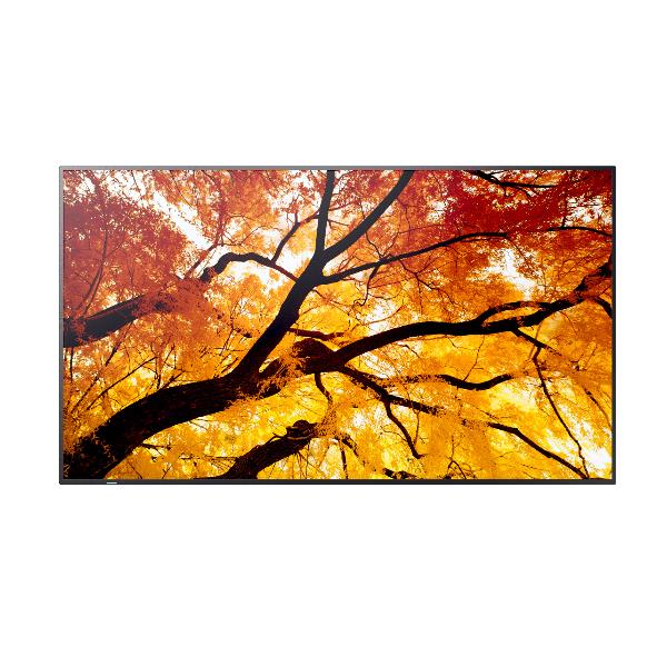 SHARP/NEC M432