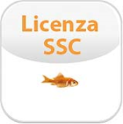 Software Service Credit/Ssc