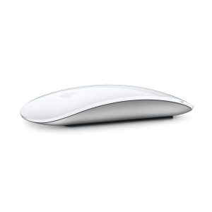 Magic Mouse Wh-Int