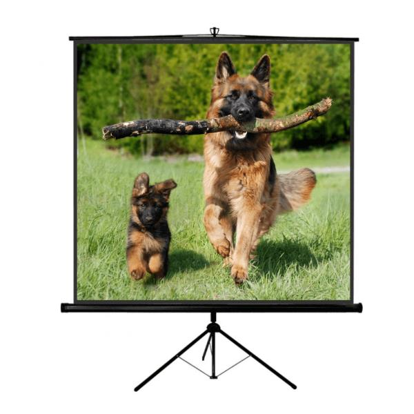 Tp New Junior 160X160 - immagine 2