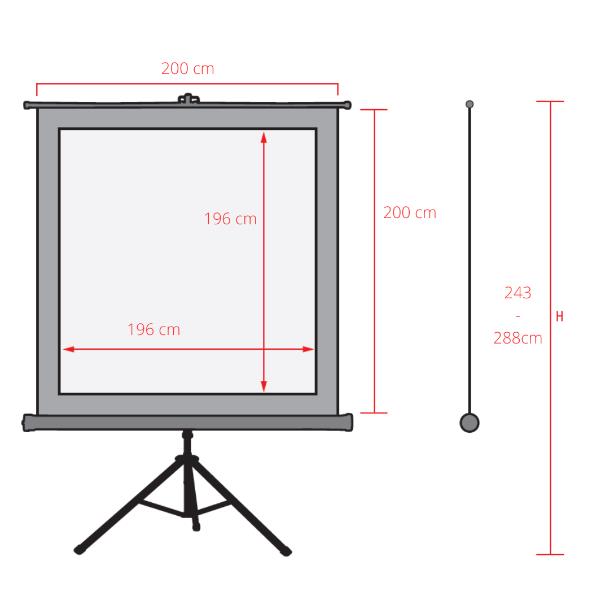 Tp New Junior 200X200 - immagine 4