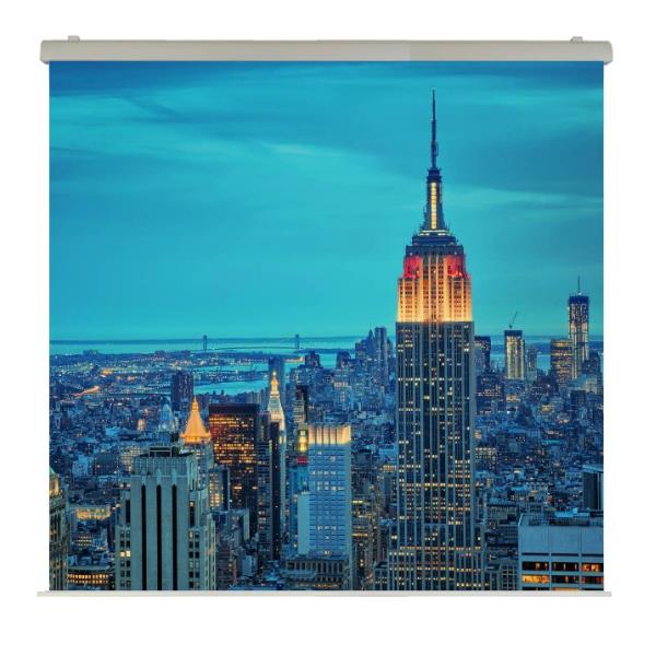 El Professional 400X400 Rubin