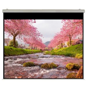 El Professional Ht Rn 500X383 Rubin