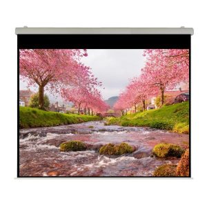 El Professional Ht 500X393 Rubin