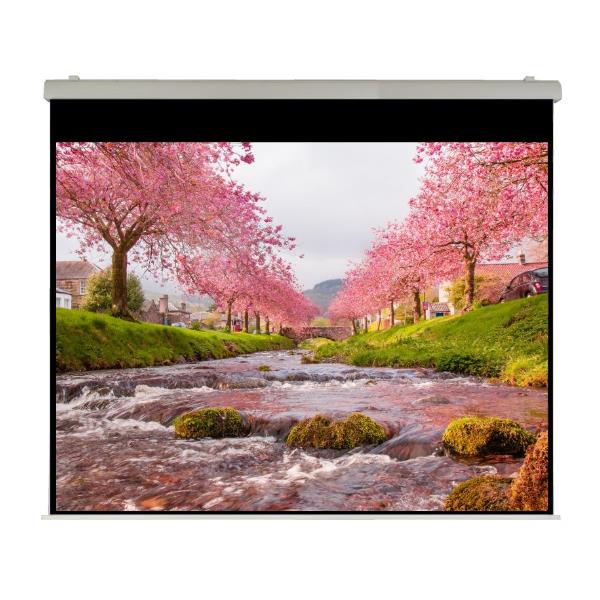 El Professional Ht 450X355 Rubin