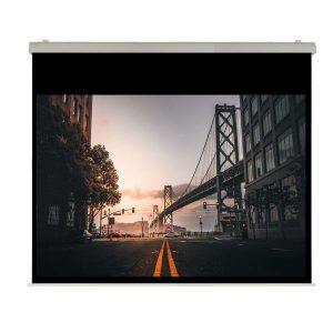 El Professional Ht 500X313 Rubin