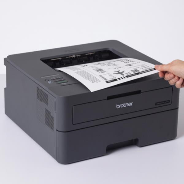 Hll2400Dwe - immagine 3