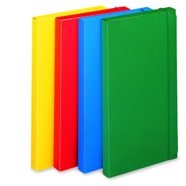 Cartella Progetto Dorso 3 Giallo - immagine 4