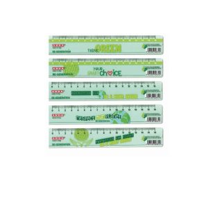 Barattolo 24 Righelli 16 Cm Eco