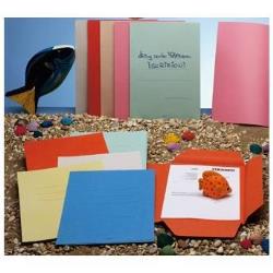 Cf50Cartellina 3L Zaffiro Rosa