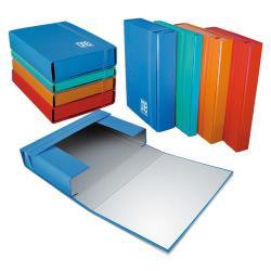 Cart.one Color C/Elast.blu Dorso 3