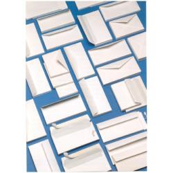 Cf500 Buste Imb Aut S/Fin11X23Cm