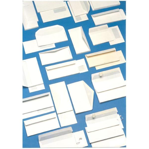 Cf500 Buste C/Fin 11X23Cm - immagine 2