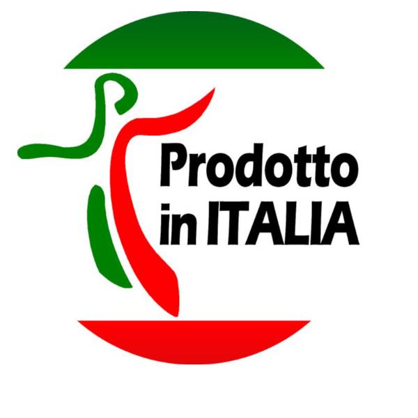 Cf25 Cart.sos.cartesio Plus Int33 U - immagine 4