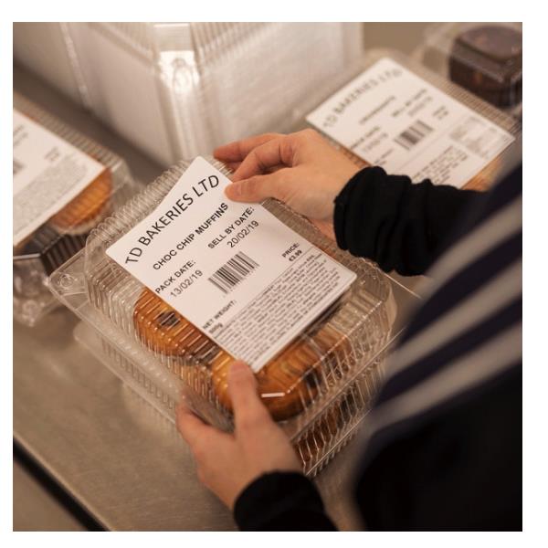 Stampante Per Etichette Td4550 - immagine 4