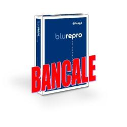 Cf120Risme Repro80 Blu A3 80G/Mq